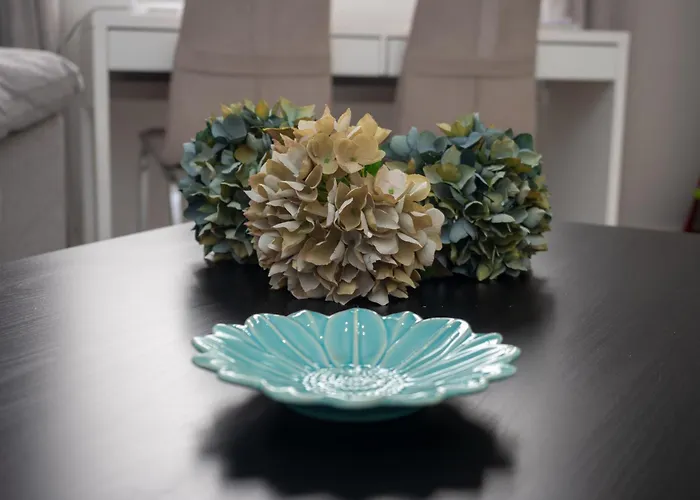 Bhost - Conde Cordoue